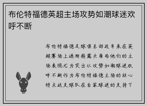 布伦特福德英超主场攻势如潮球迷欢呼不断 布伦特福德英超主场攻势如潮球迷欢呼不断